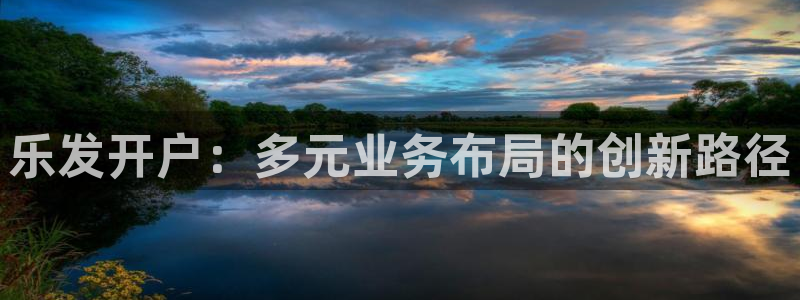 今年会3：乐发开户：多元业务布局的创新路径