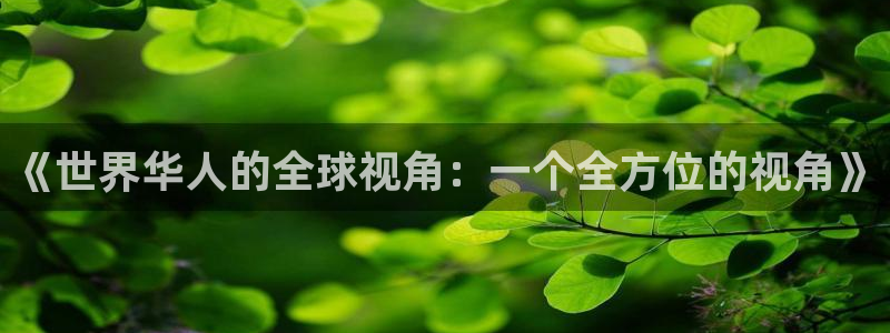 今年会2体育登录入口：《世界华人的全球视角：一个全方位的视角》