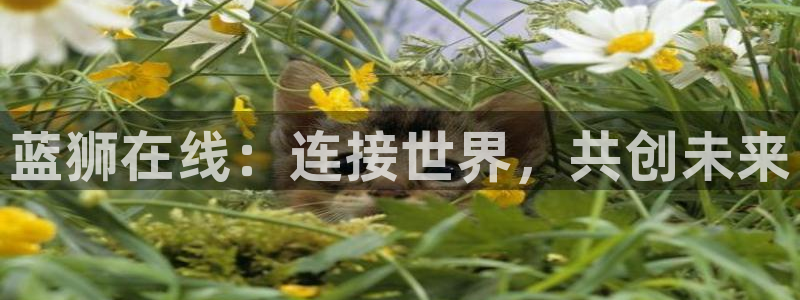 今年会5注册：蓝狮在线：连接世界，共创未来