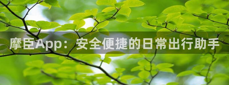 今年会2登录地址：摩臣App：安全便捷的日常出行助手