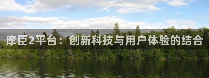 今年会app 是什么：摩臣2平台：创新科技与用户体验的结合