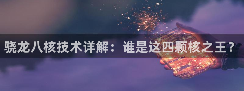 南宫今年会：骁龙八核技术详解：谁是这四颗核之王？