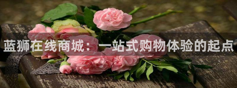 今年会4开户：蓝狮在线商城：一站式购物体验的起点