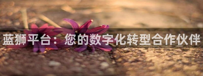 今年会下载入口：蓝狮平台：您的数字化转型合作伙伴
