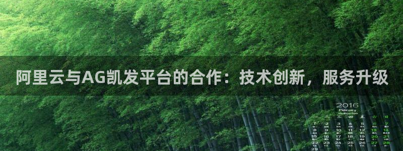 今年会下载二维码：阿里云与AG凯发平台的合作：技术创新，服务升级