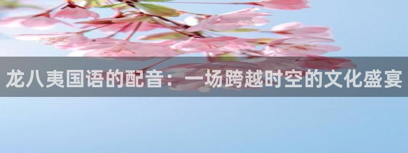今年会app 是什么：龙八夷国语的配音：一场跨越时空的文化盛宴