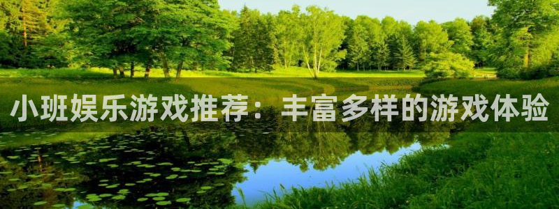 今年会平台注册：小班娱乐游戏推荐：丰富多样的游戏体验