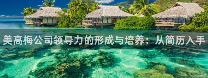 今年会娱乐：美高梅公司领导力的形成与培养：从简历入手