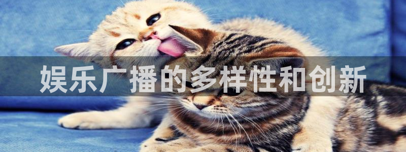 今年会集团：娱乐广播的多样性和创新