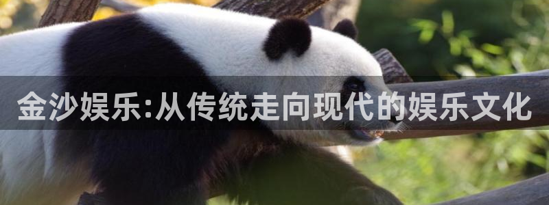 今年会登录：金沙娱乐:从传统走向现代的娱乐文化