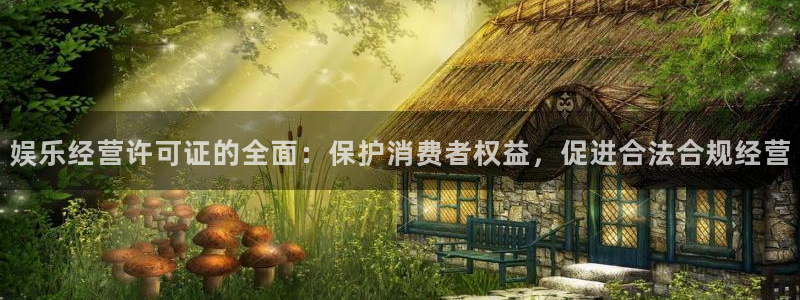 今年会体育平台总代理：娱乐经营许可证的全面：保护消费者权益，促进合法合规经营