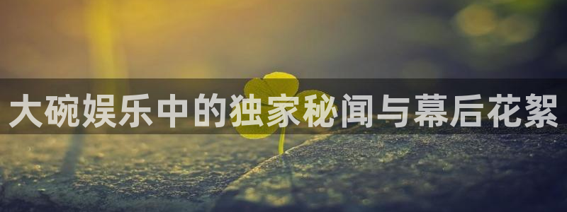 苹果版今年会下载安装：大碗娱乐中的独家秘闻与幕后花絮