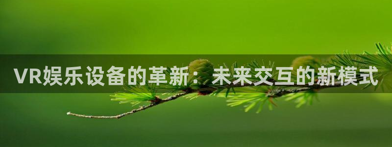 今年会网站平台登录：VR娱乐设备的革新：未来交互的新模式