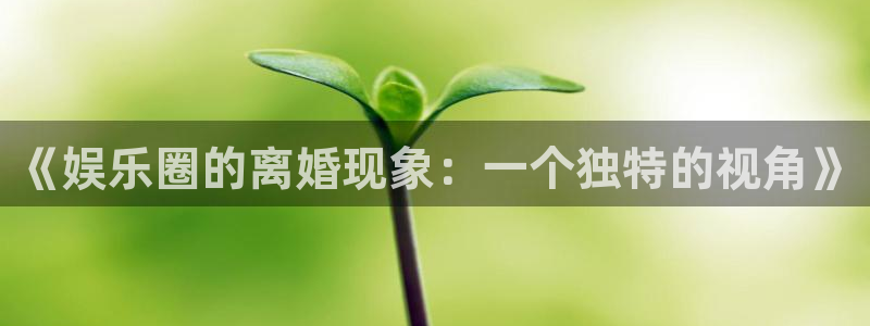 今年会app下载：《娱乐圈的离婚现象：一个独特的视角》