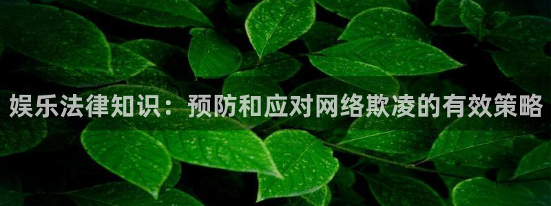 今年会登录：娱乐法律知识：预防和应对网络欺凌的有效策略