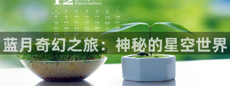 今年会3登录：蓝月奇幻之旅：神秘的星空世界