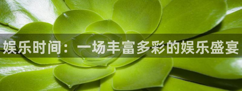 南宫今年会官网版：娱乐时间：一场丰富多彩的娱乐盛宴