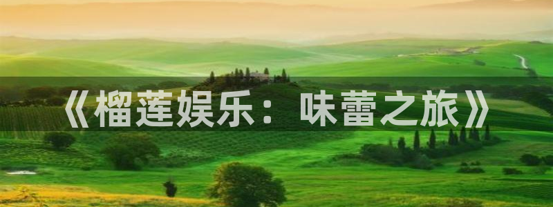 今年会下载：《榴莲娱乐：味蕾之旅》