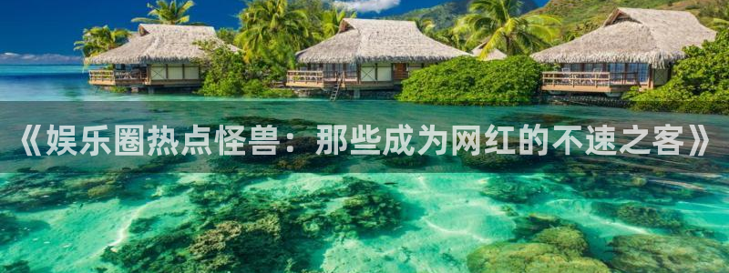 今年会平台官网版下载：《娱乐圈热点怪兽：那些成为网红的不速之客》