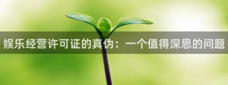今年会平台：娱乐经营许可证的真伪：一个值得深思的问题