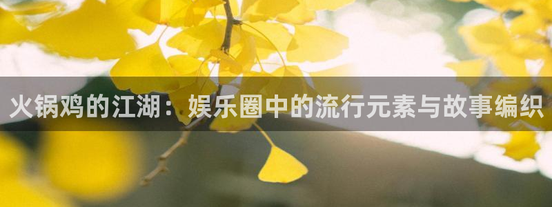 今年会3平台注册：火锅鸡的江湖：娱乐圈中的流行元素与故事编织