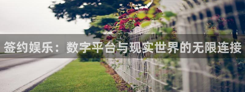 今年会是赌博吗：签约娱乐：数字平台与现实世界的无限连接