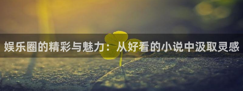 今年会电子游戏：娱乐圈的精彩与魅力：从好看的小说中汲取灵感