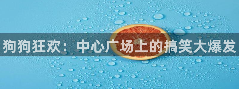 今年会集团股票：狗狗狂欢：中心广场上的搞笑大爆发