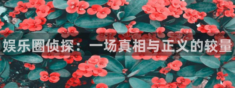 今年会下载：娱乐圈侦探：一场真相与正义的较量