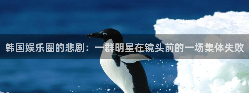 今年会主管：韩国娱乐圈的悲剧：一群明星在镜头前的一场集体失败
