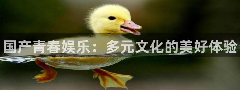 今年会体育网页版入口：国产青春娱乐：多元文化的美好体验