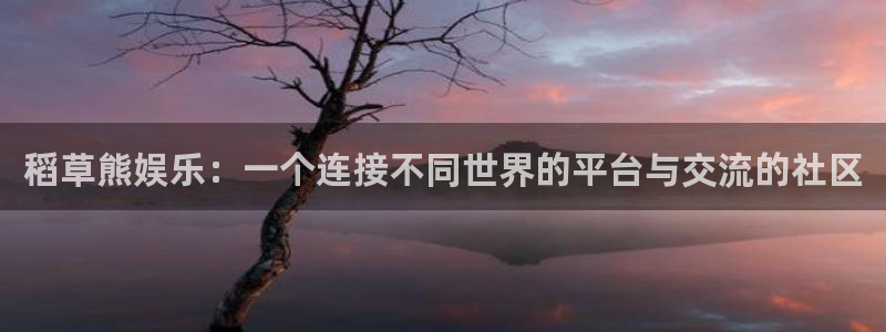 今年会平台注册账号：稻草熊娱乐：一个连接不同世界的平台与交流的社区