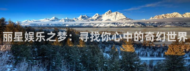 今年会4平台注册：丽星娱乐之梦：寻找你心中的奇幻世界