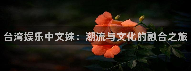 今年会平台