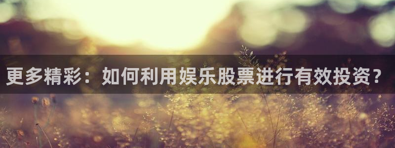 今年会4代理：更多精彩：如何利用娱乐股票进行有效投资？