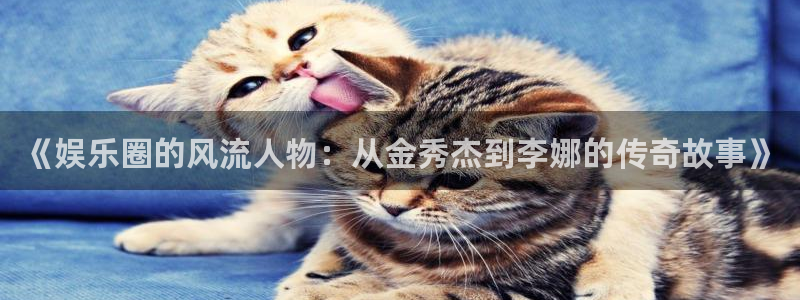 www.今年会体育.com：《娱乐圈的风流人物：从金秀杰到李娜的传奇故事》