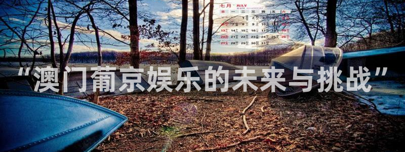 今年会.ccmpc正版：“澳门葡京娱乐的未来与挑战”